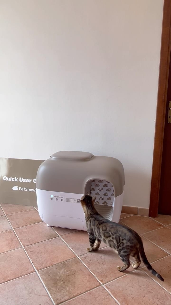 Post 1 by Jafar and his family 🐾 on Instagram (video)