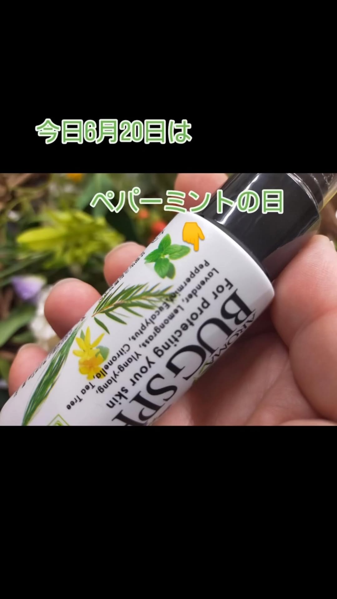 Post 7 by かごしま遊楽館 on Instagram (video)