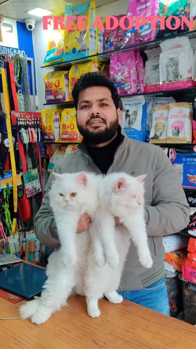 Post 10 by Royal Pet Mart | Pet Store Gwalior on Instagram (video)