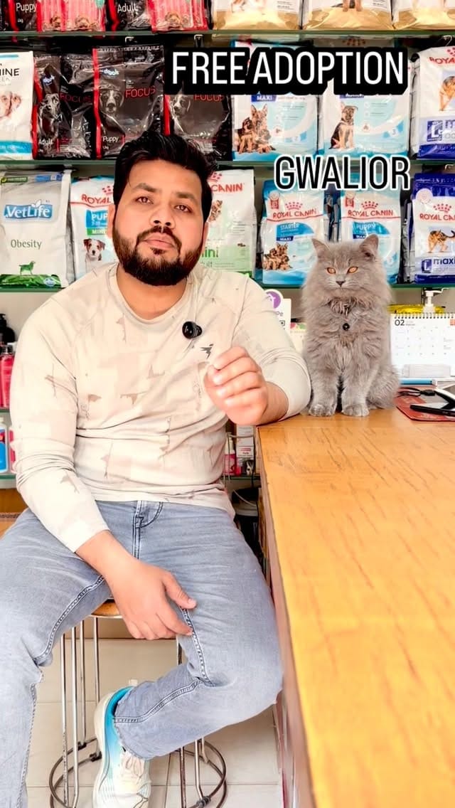 Post 9 by Royal Pet Mart | Pet Store Gwalior on Instagram (video)