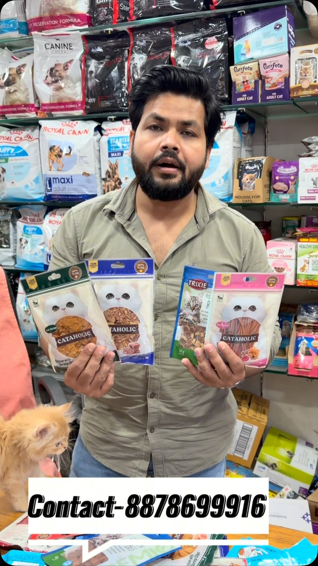 Post 4 by Royal Pet Mart | Pet Store Gwalior on Instagram (video)