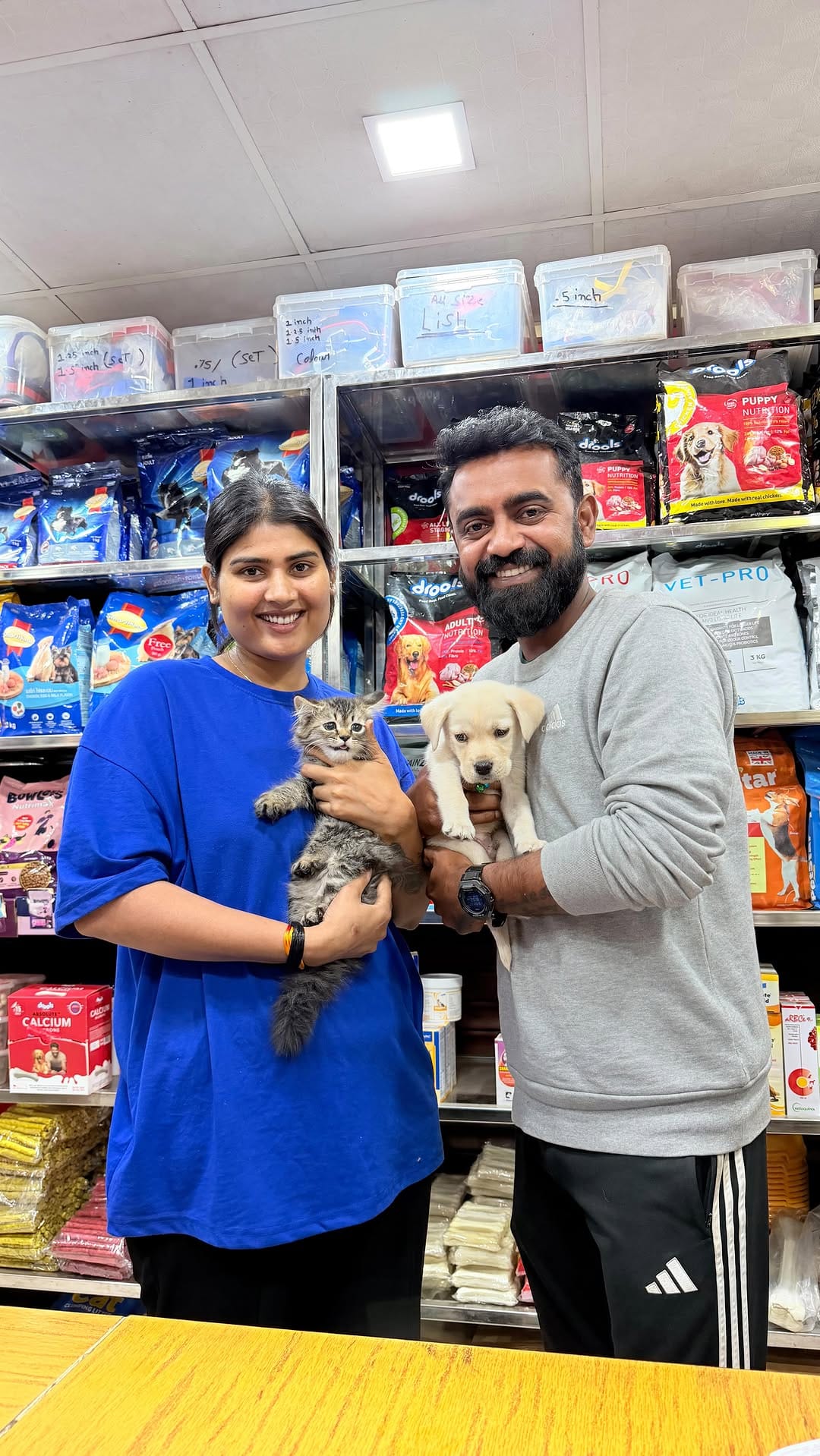 Post 8 by Royal Pet Mart | Pet Store Gwalior on Instagram (video)