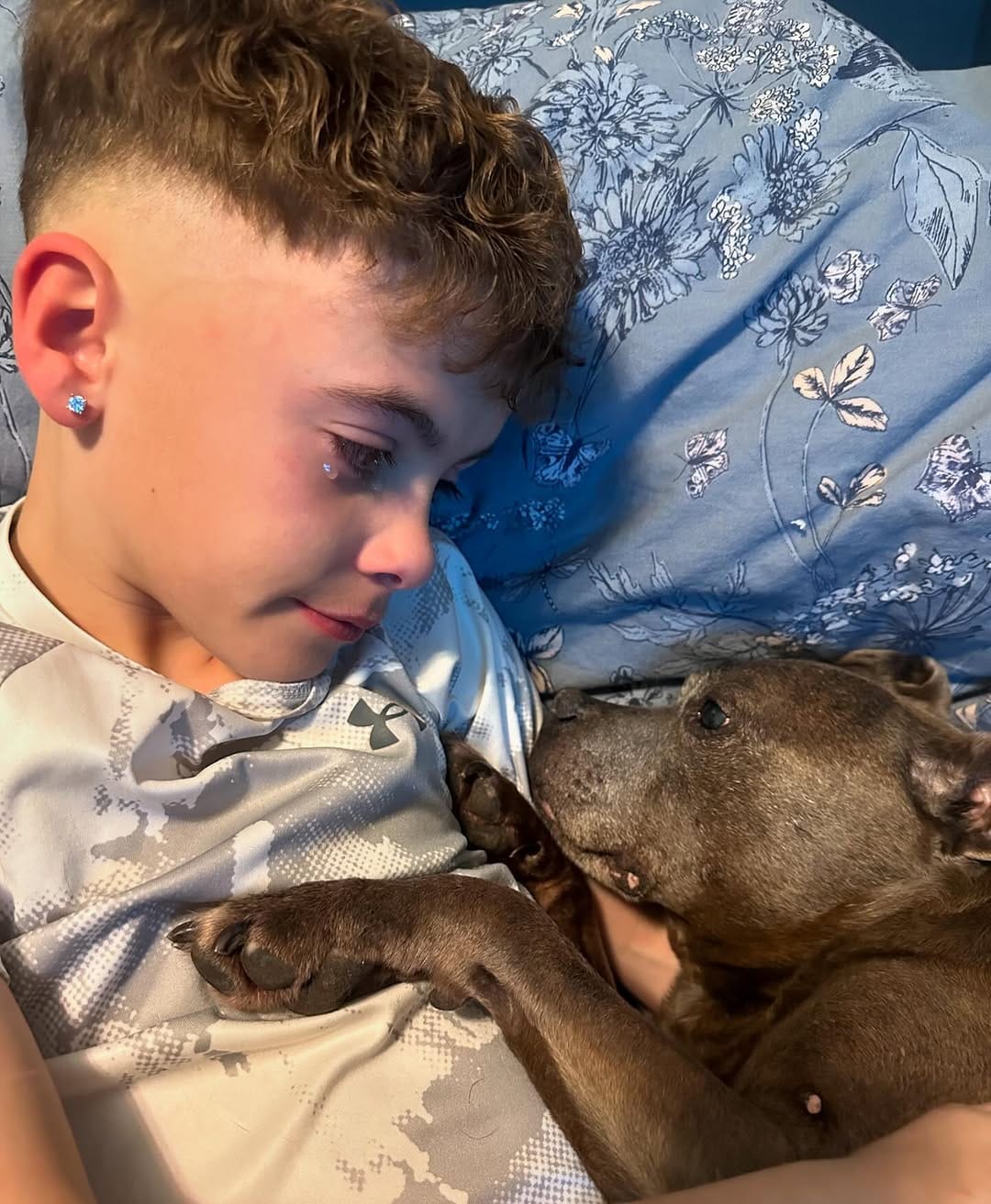 Post 9 by Boulder, Harley & Rocky | A Boy and His Dogs ♡ on Instagram (carousel)