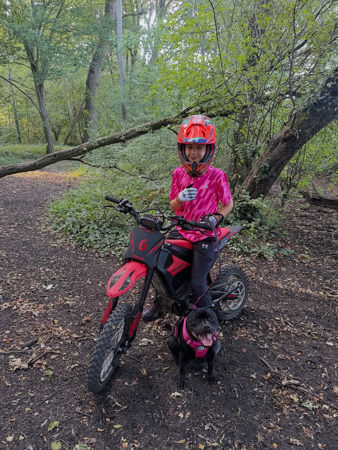 Post 4 by Boulder, Harley & Rocky | A Boy and His Dogs ♡ on Instagram (carousel)