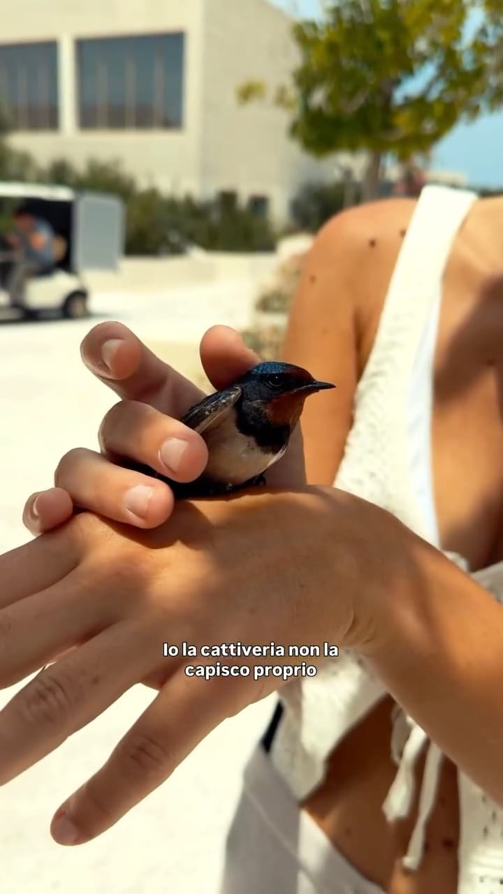 Post 4 by Valentina Cardello - 𝐓𝐑𝐀𝐕𝐄𝐋 | 𝐋𝐈𝐅𝐄𝐒𝐓𝐘𝐋𝐄 on Instagram (video)