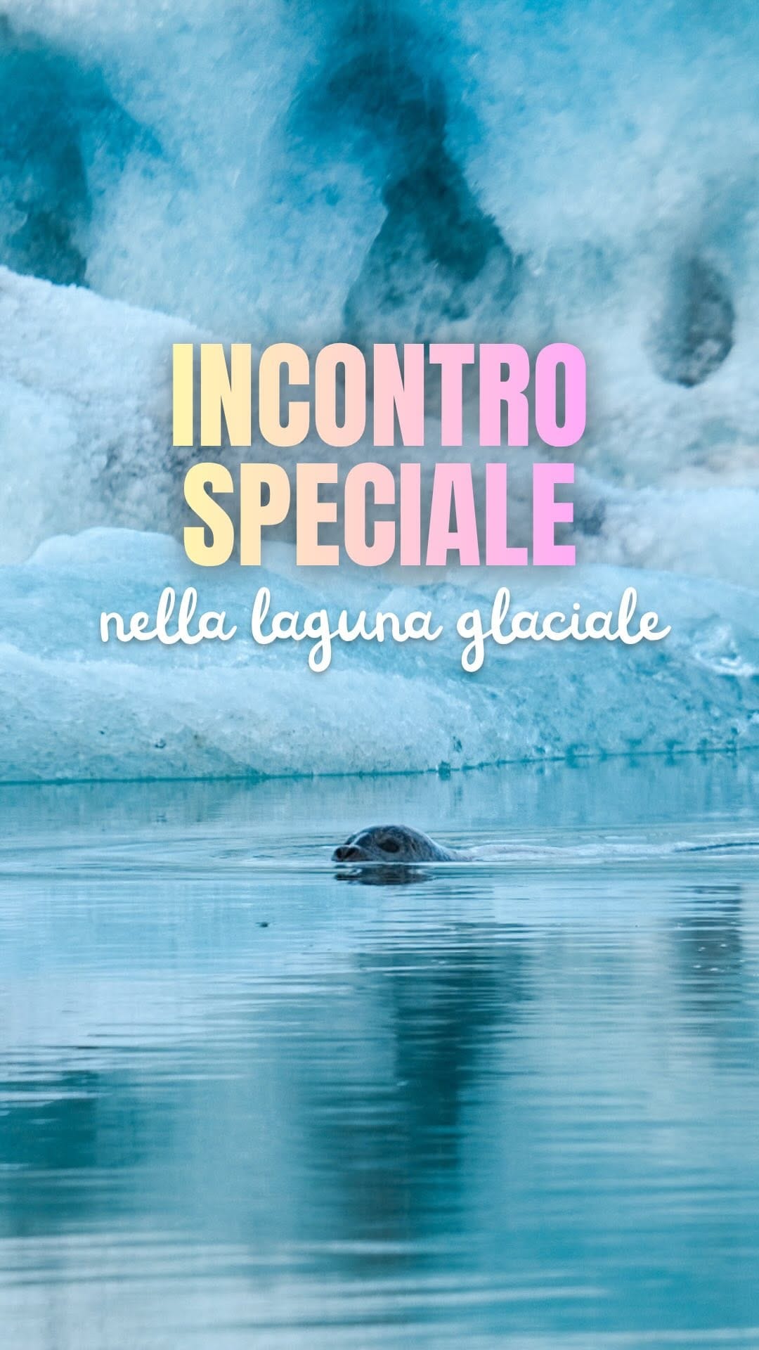 Post 4 by Oriana Sardella & Alvise Scarpa - Travel Creators ✈️ on Instagram (video)