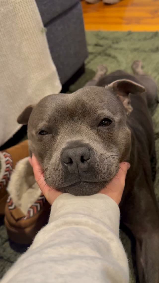 Post 7 by Nylah 🦋 on Instagram (video)