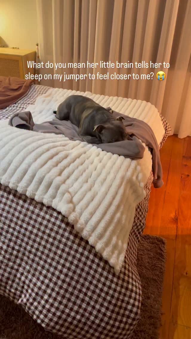 Post 5 by Nylah 🦋 on Instagram (video)