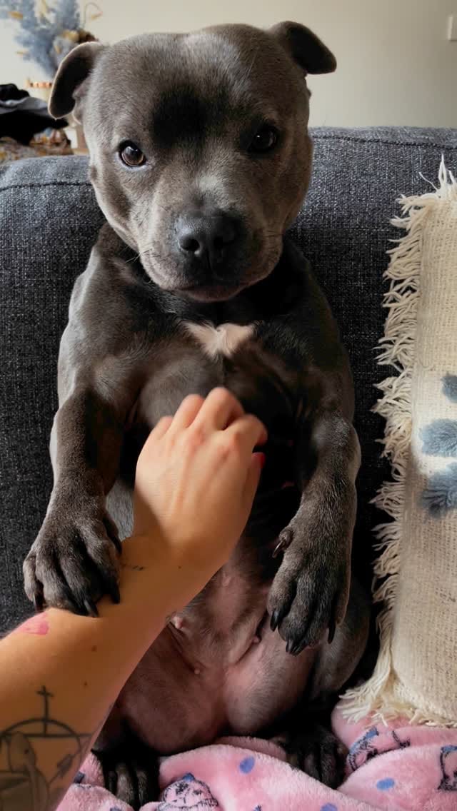 Post 8 by Nylah 🦋 on Instagram (video)