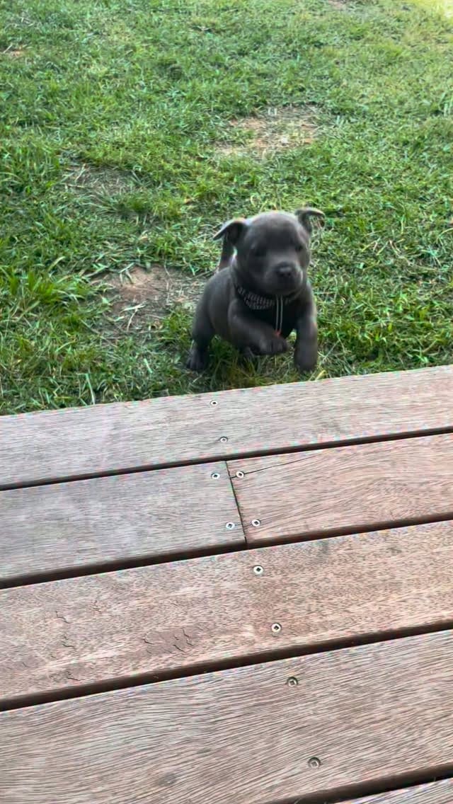 Post 2 by Nylah 🦋 on Instagram (video)