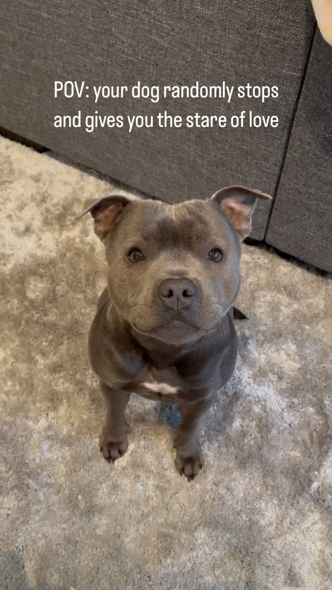 Post 9 by Nylah 🦋 on Instagram (video)