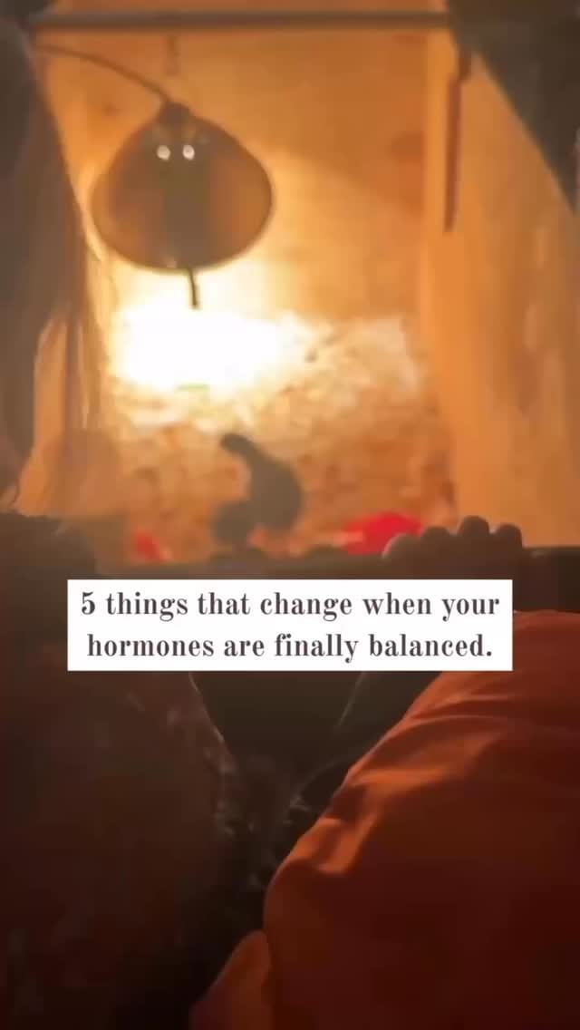 Post 6 by Dr. Jessica Nazzaro, Catholic OBGYN, Menopause Expert on Instagram (video)