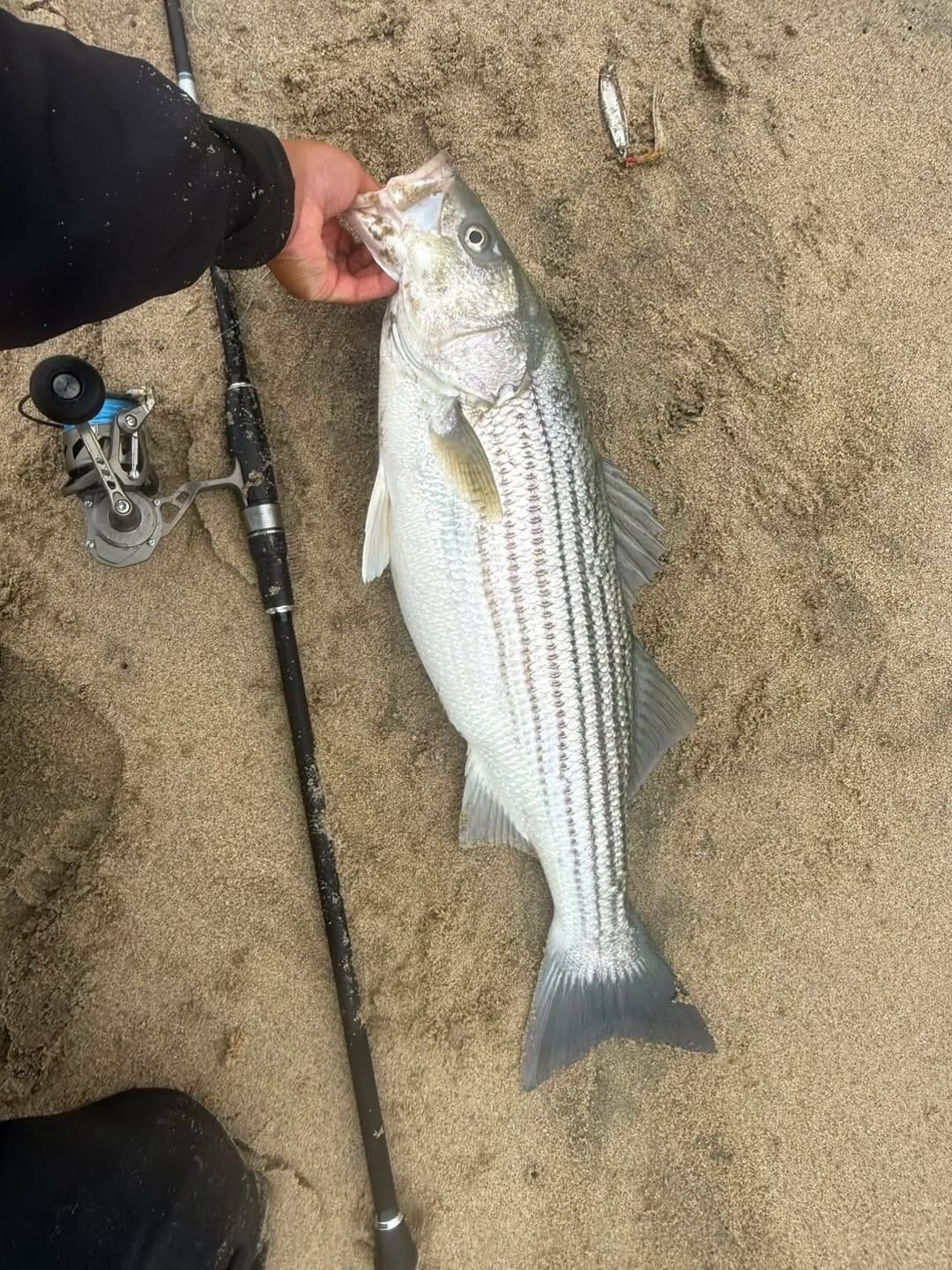 Post 6 by ODM RODS on Instagram (image)