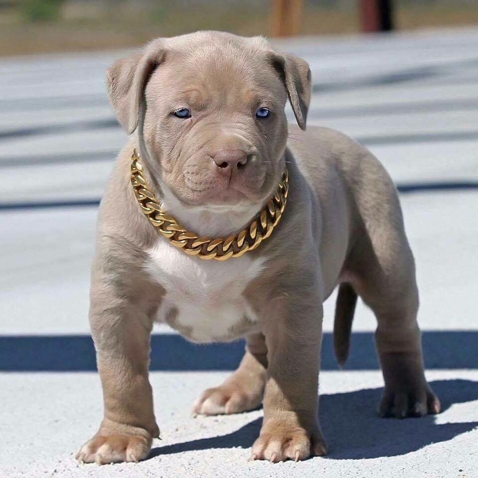 Post 2 by Trill Legacy on Instagram (image)