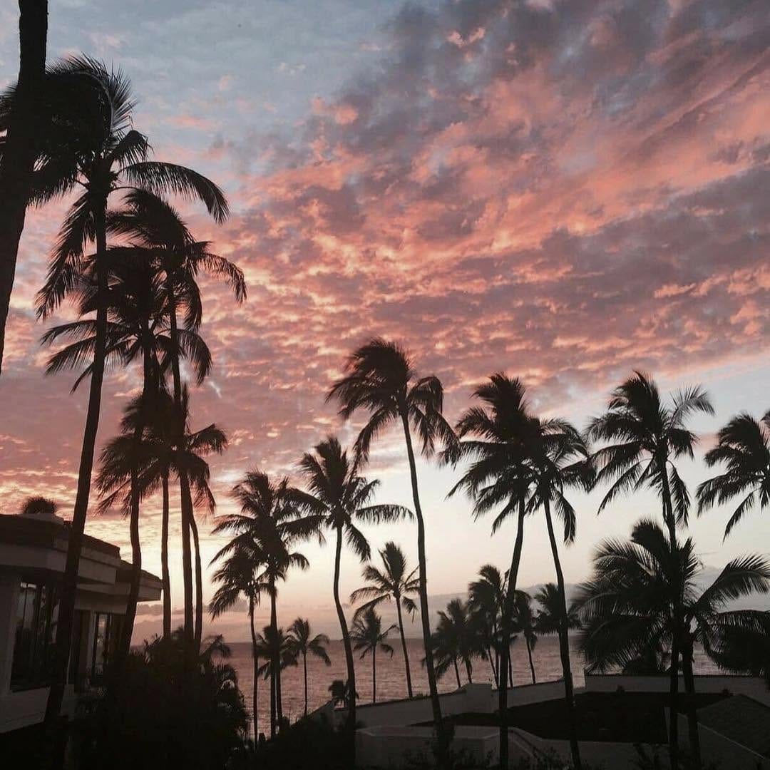 Post 4 by Trill Legacy on Instagram (image)