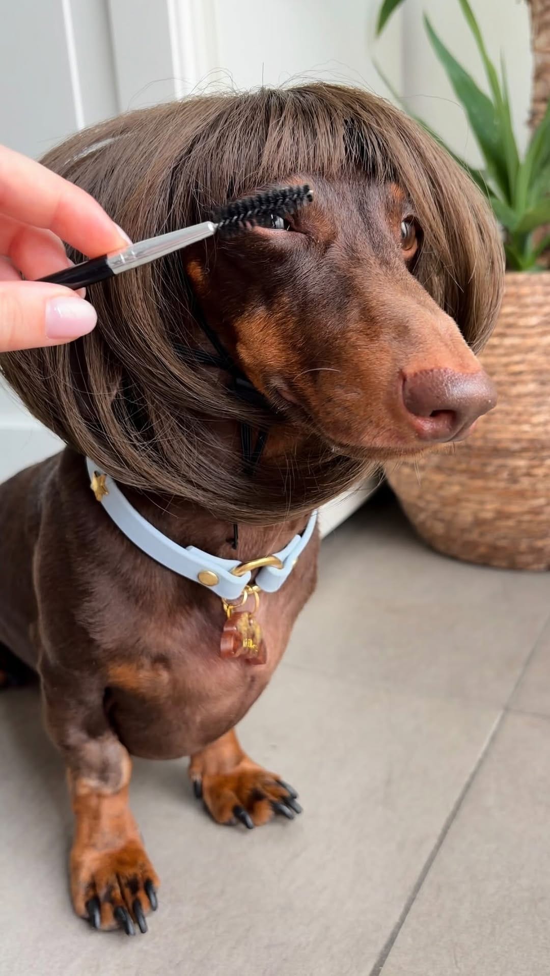 Post 5 by M I L Á N / NEUS CAICEDO on Instagram (video)