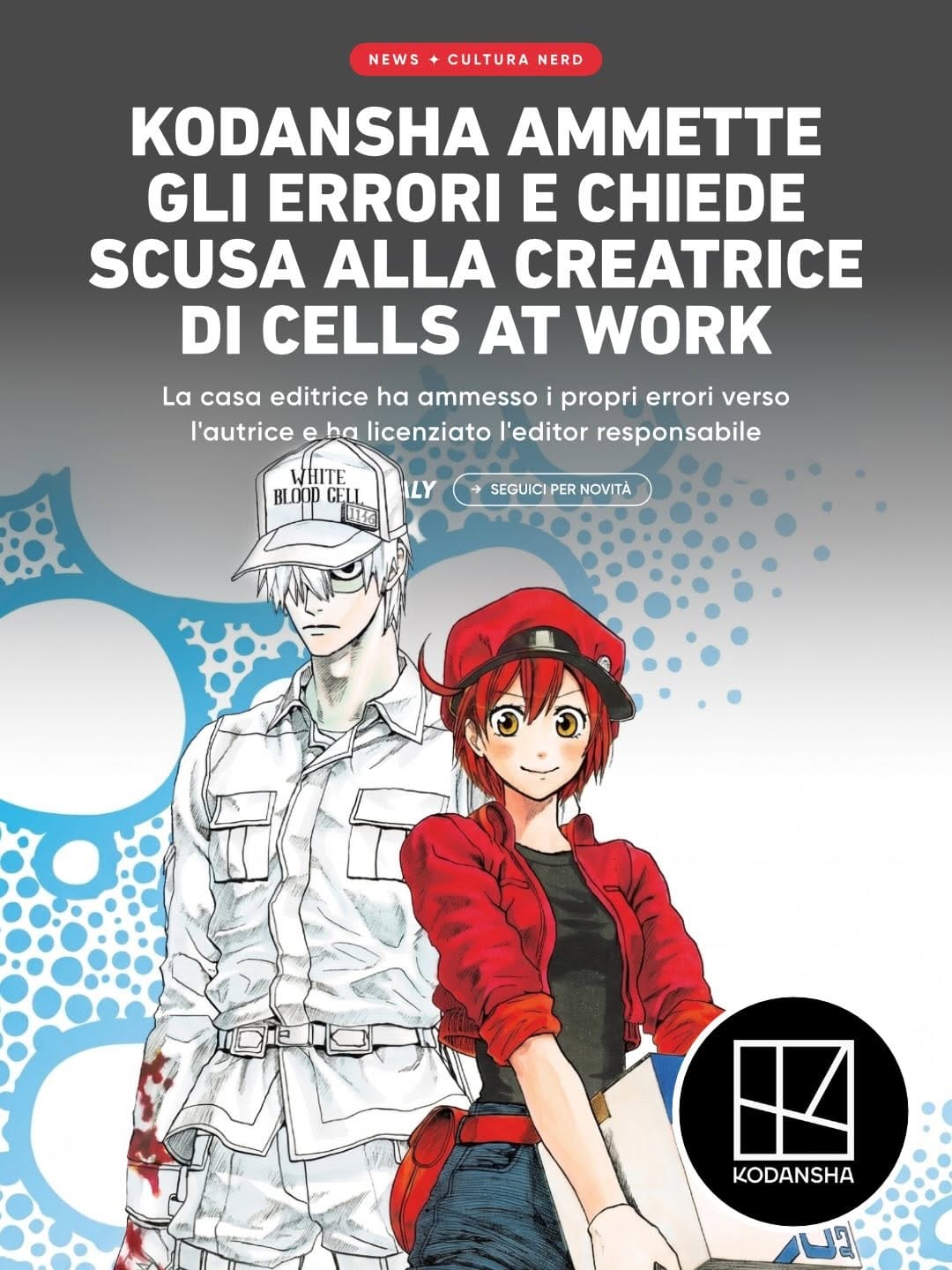 Post 6 by Animeitaly 🇮🇹 on Instagram (image)
