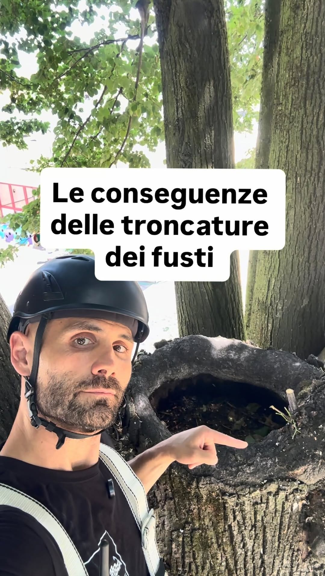 Post 1 by Agronomo Nicola Caffi Avogadri on Instagram (video)