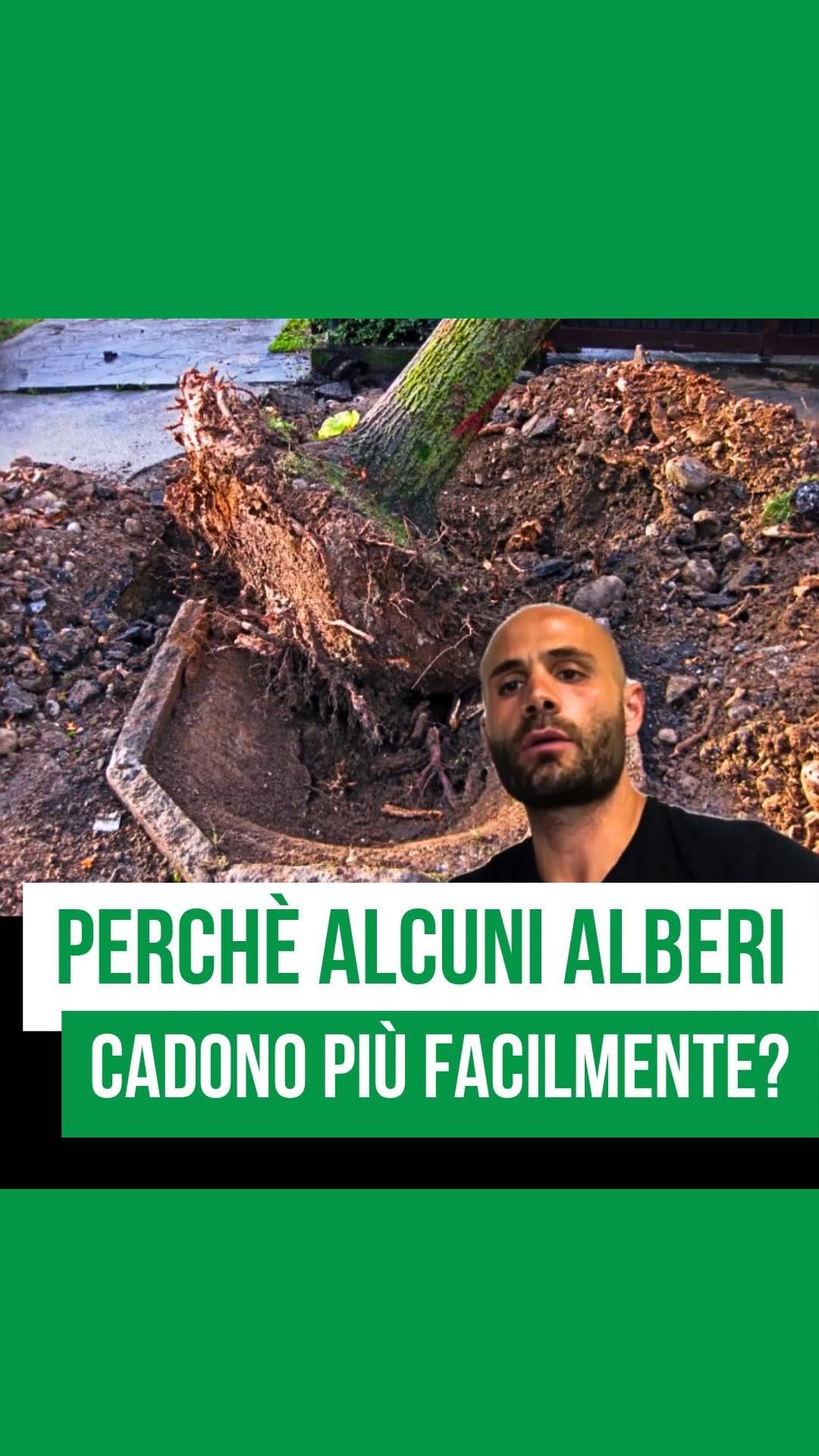 Post 10 by Agronomo Nicola Caffi Avogadri on Instagram (video)