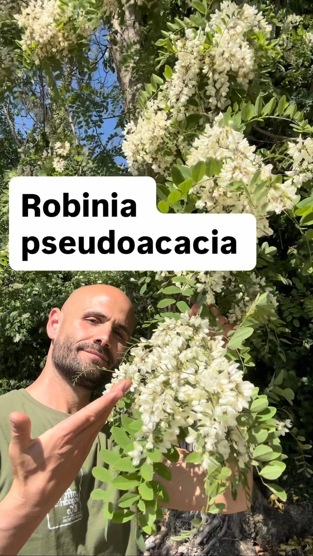 Post 6 by Agronomo Nicola Caffi Avogadri on Instagram (video)