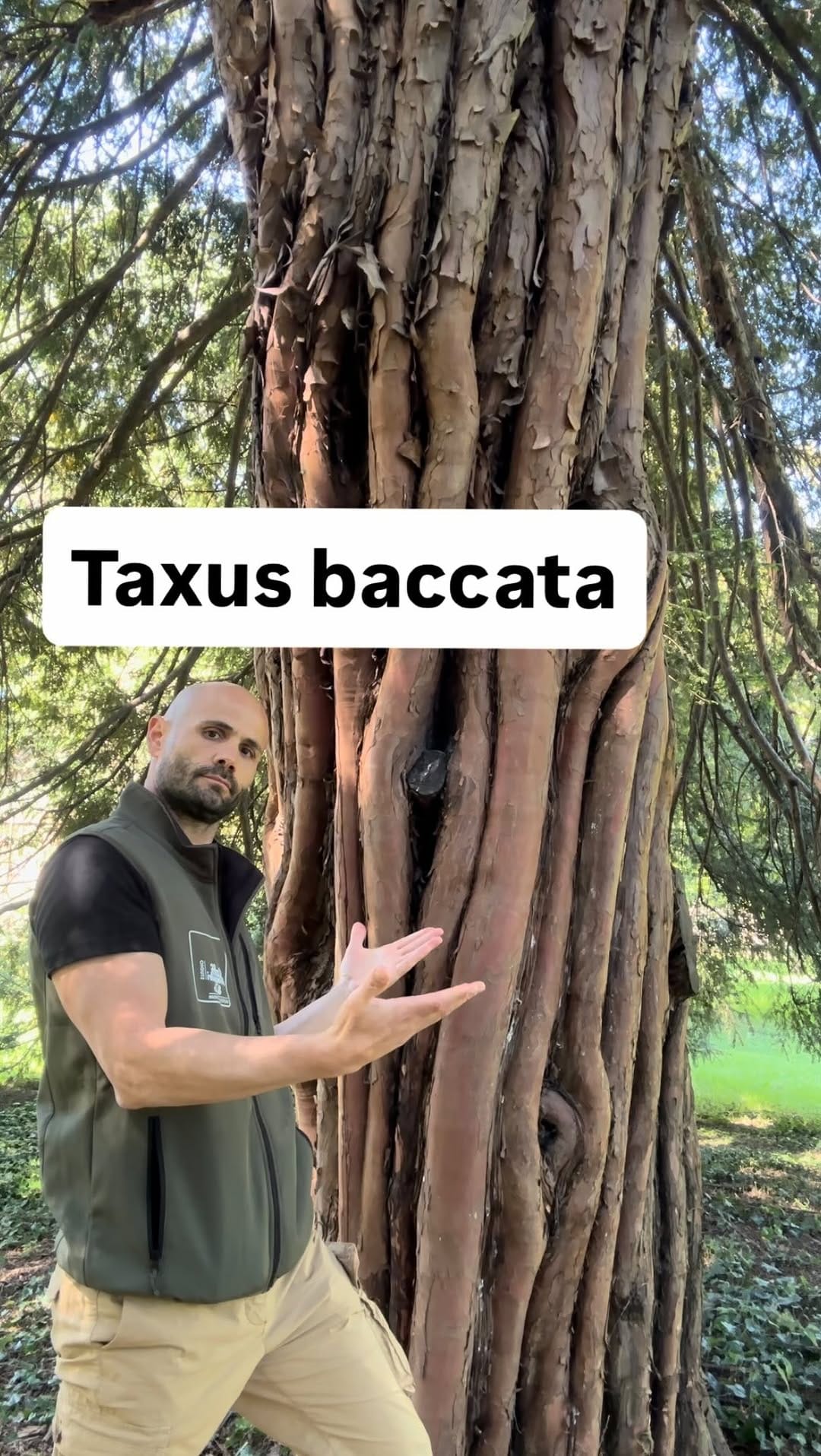 Post 5 by Agronomo Nicola Caffi Avogadri on Instagram (video)