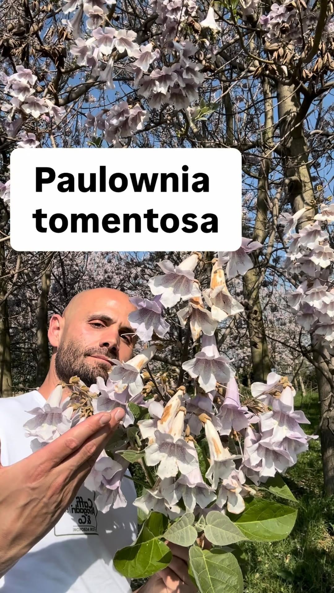 Post 8 by Agronomo Nicola Caffi Avogadri on Instagram (video)