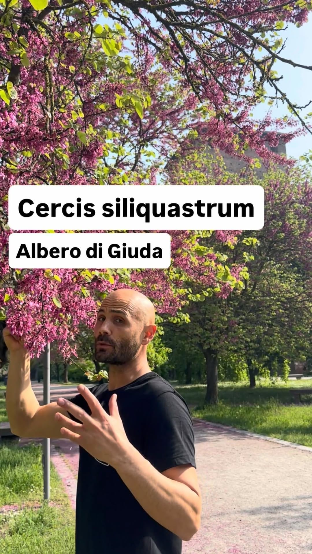 Post 7 by Agronomo Nicola Caffi Avogadri on Instagram (video)