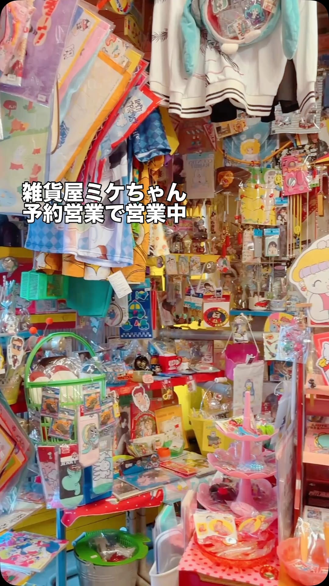 Post 10 by 雑貨屋ミケちゃん on Instagram (video)