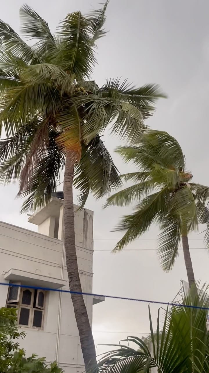 Post 5 by Sini Biju on Instagram (video)