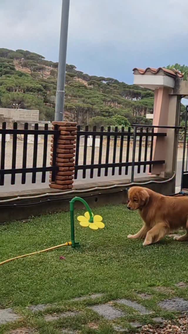 Post 8 by Claudia Concas on Instagram (video)