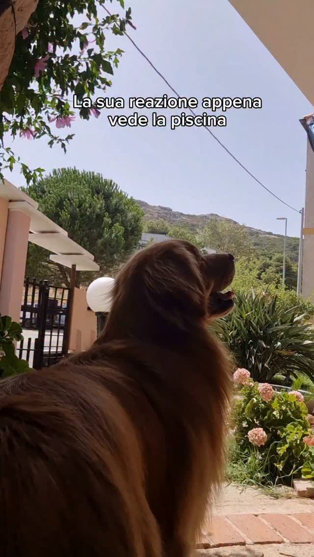 Post 1 by Claudia Concas on Instagram (video)