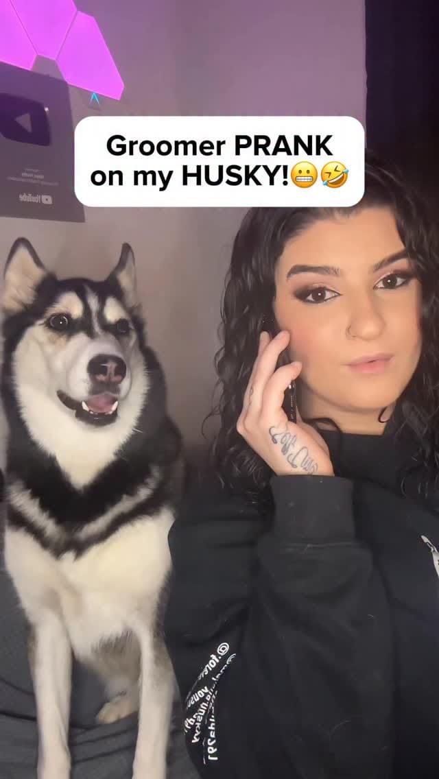 Post 8 by Maya The Husky on Instagram (video)