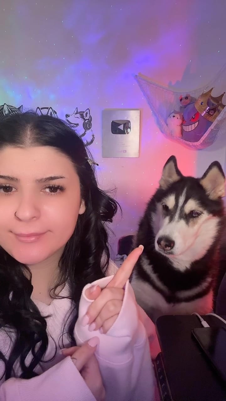 Post 3 by Maya The Husky on Instagram (video)