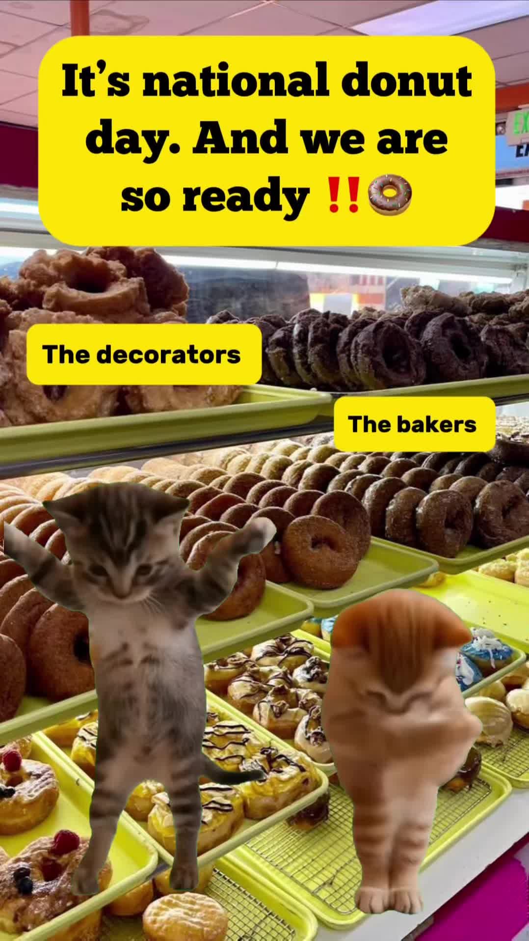 Post 5 by Amy's Donuts on Instagram (video)