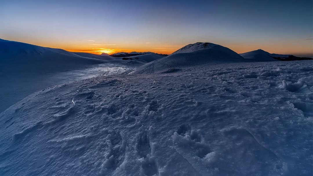 Post 7 by Tommaso Di Donato on Instagram (image)