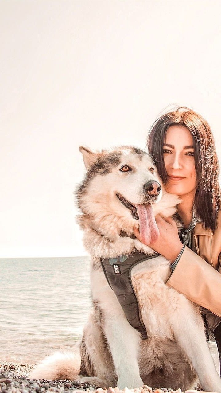 Post 8 by Dea e Grazia 💙|alaskan malamute on Instagram (video)