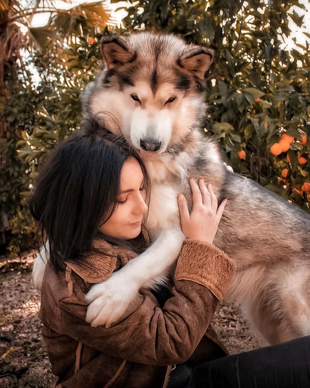 Post 9 by Dea e Grazia 💙|alaskan malamute on Instagram (image)