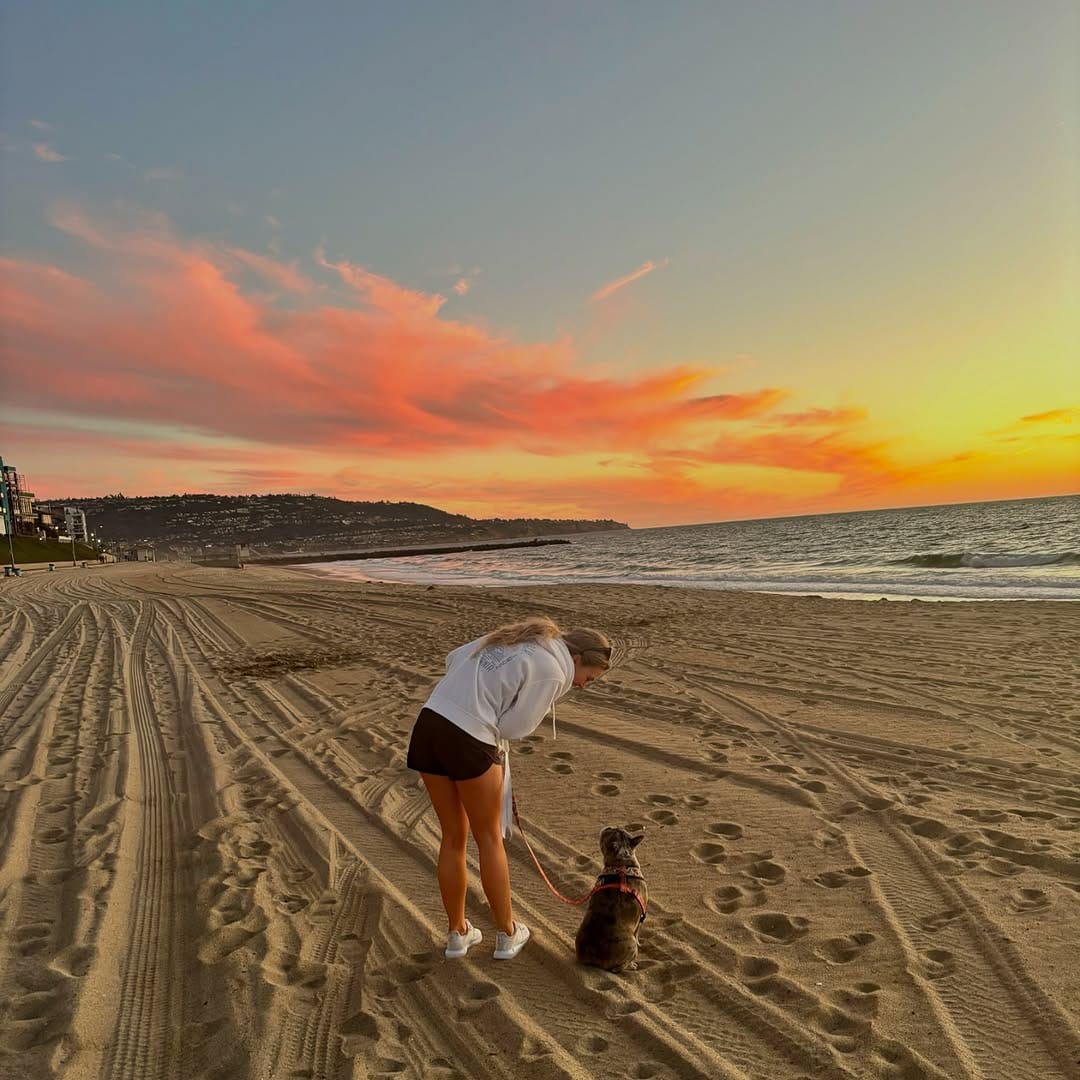 Post 2 by Dog Mom| Life with Frenchies in LA on Instagram (image)