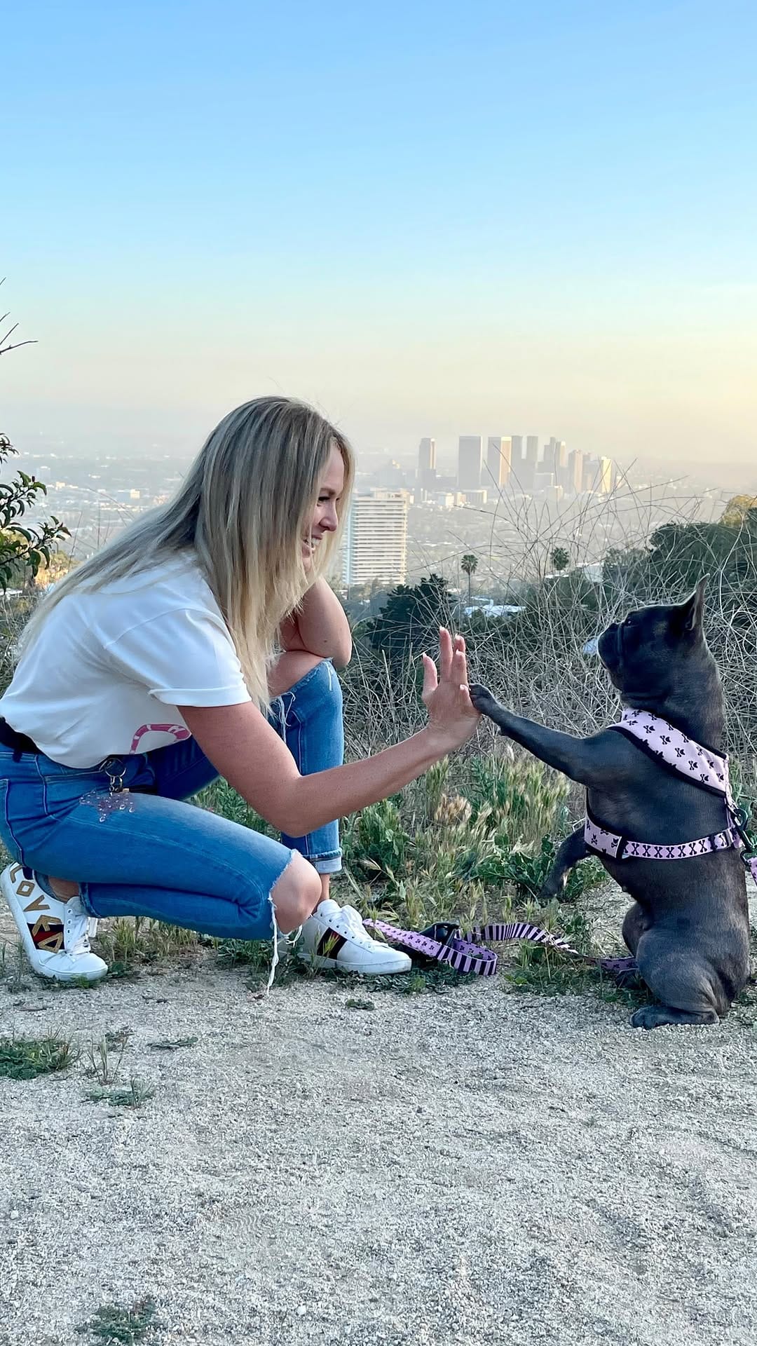 Post 6 by Dog Mom| Life with Frenchies in LA on Instagram (video)
