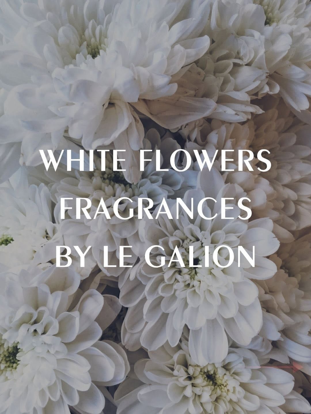 Post 6 by LE GALION MAISON DE PARFUMERIE on Instagram (carousel)