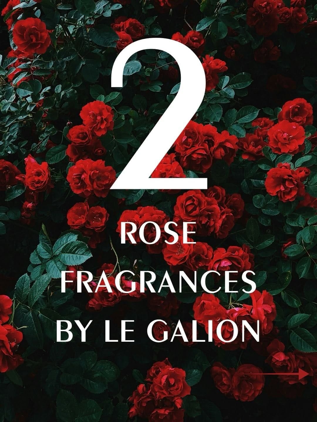 Post 9 by LE GALION MAISON DE PARFUMERIE on Instagram (carousel)