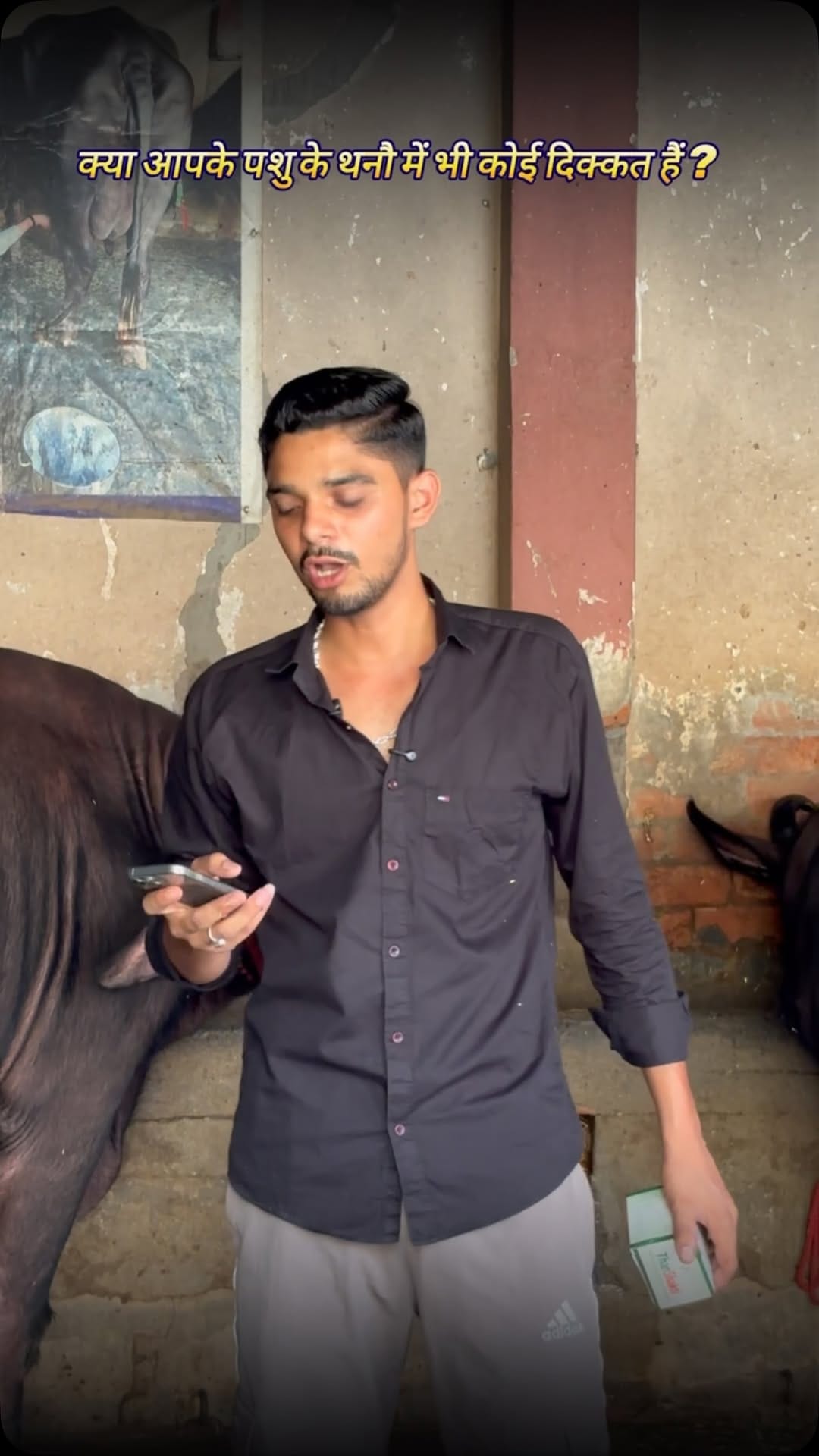 Post 6 by Pawan Kumar Dairy Farm on Instagram (video)