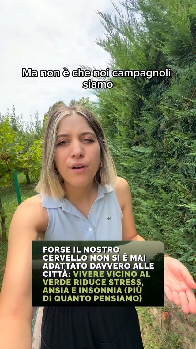 Post 3 by Benedetta Polato | La veneta della porta accanto💜 on Instagram (video)