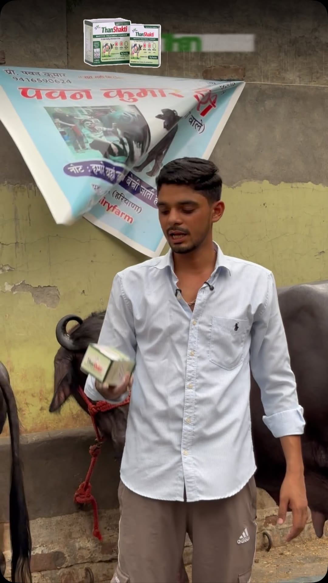 Post 1 by Pawan Kumar Dairy Farm on Instagram (video)