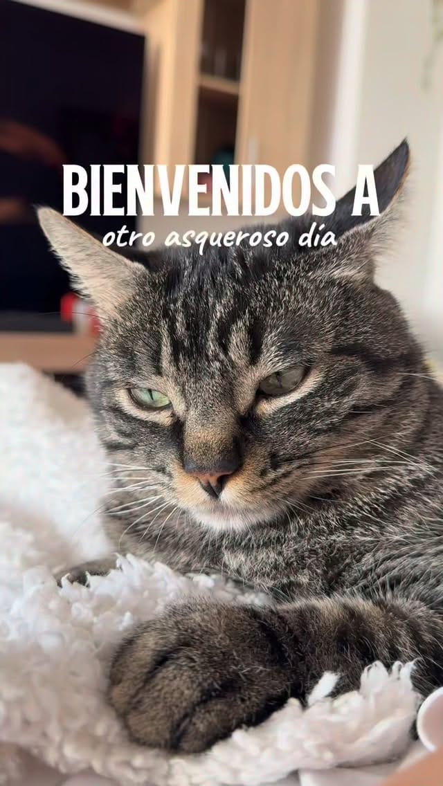 Post 10 by Karen Sarmiento Gongora on Instagram (video)