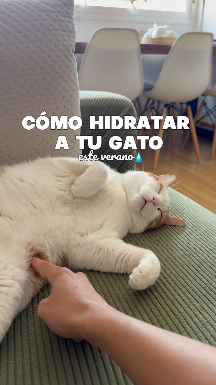 Post 2 by Karen Sarmiento Gongora on Instagram (video)