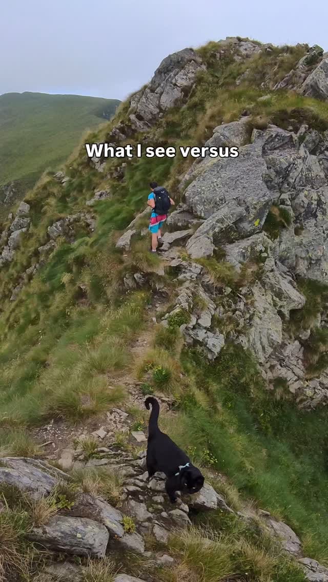 Post 8 by Luna | The black adventure cat on Instagram (video)