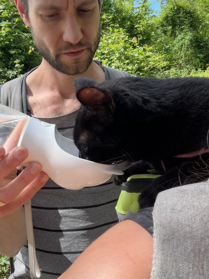 Post 4 by Luna | The black adventure cat on Instagram (carousel)