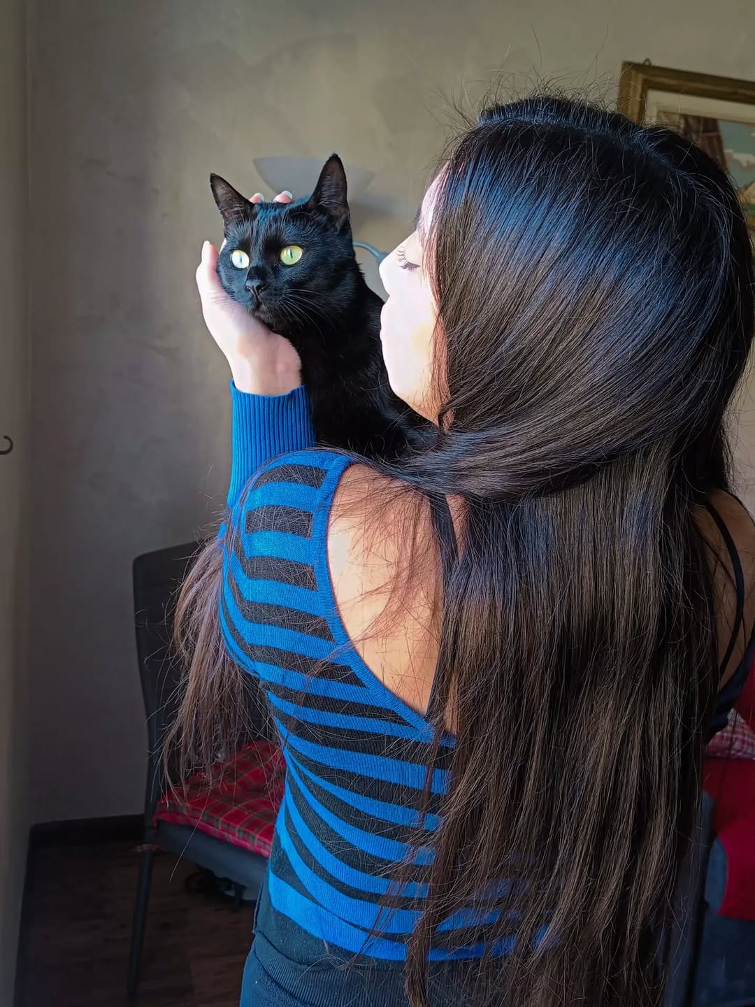 Post 2 by Luna | The black adventure cat on Instagram (carousel)