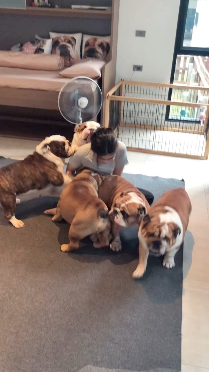 Post 8 by Fatty Goofy DannyBoy Logan on Instagram (video)